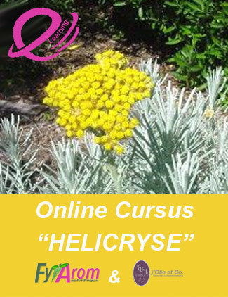 Online Course Hydrolats "HELICHRYSUM"