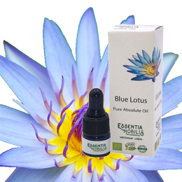 Blauwe Lotus Absolute Olie