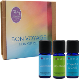 Bon Voyage Gift Box