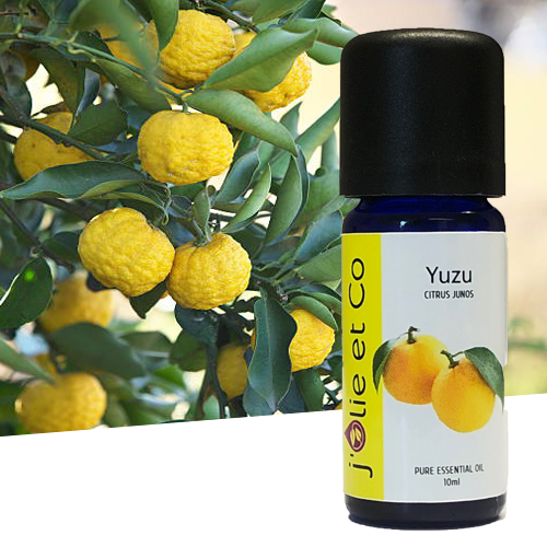 Buy Eternal Bliss Yuzu Essential Oil(Citrus junos) 100% Pure Therapeutic  Grade Aromatic Oil, uncut Essential Oil