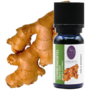 CO2-total Extract Ginger (10 ml)