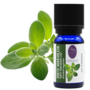 CO2-select Extract Marjoram Leaf (10 ml)