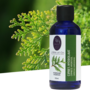 Cypress | Organic | 100 ml